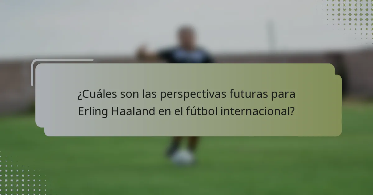 ¿Cuáles son las perspectivas futuras para Erling Haaland en el fútbol internacional?