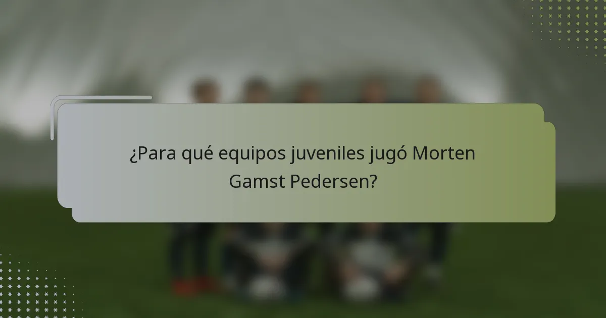 ¿Para qué equipos juveniles jugó Morten Gamst Pedersen?